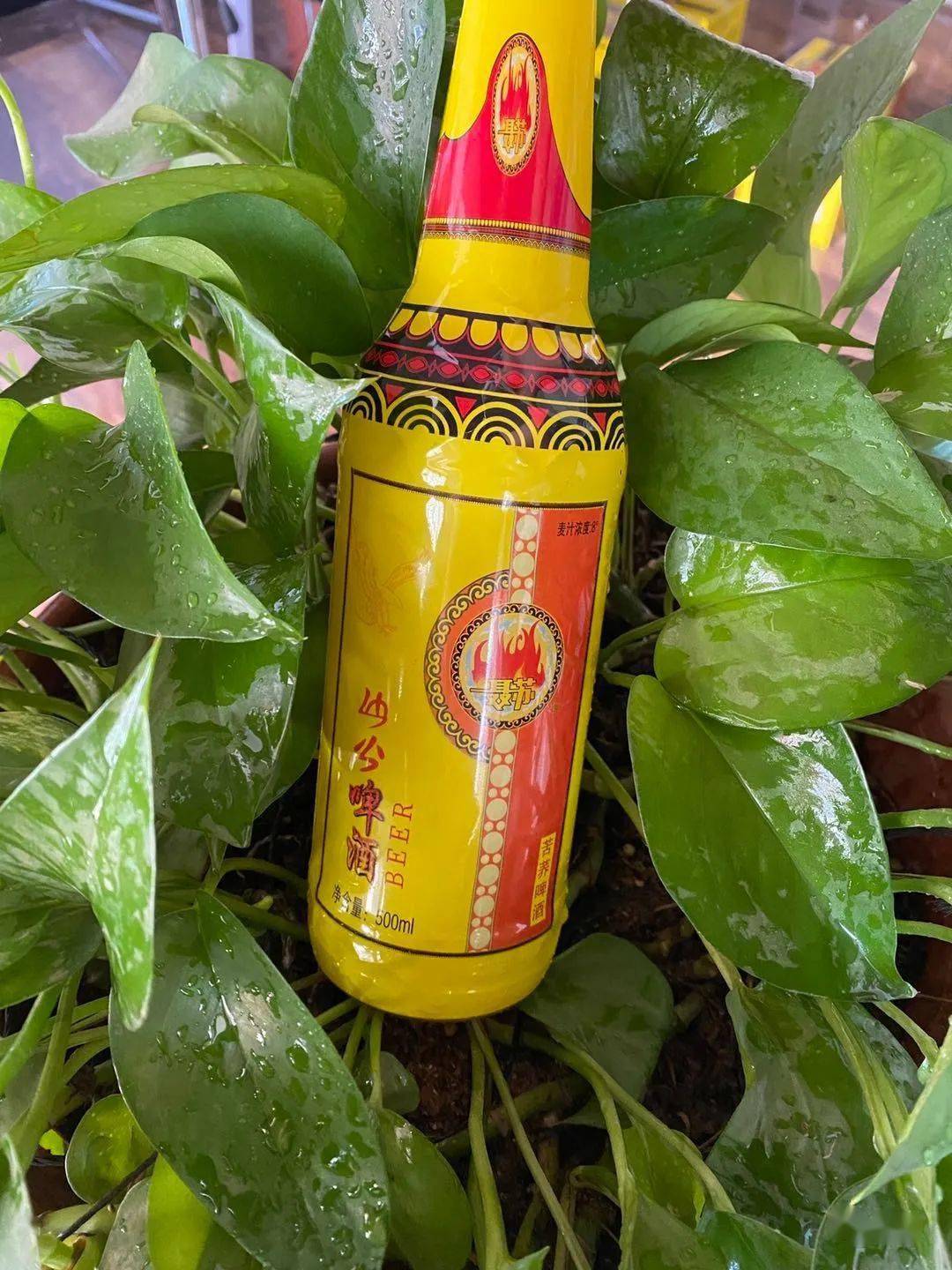 彝族聂苏(诺苏)啤酒品牌属凉山州诺苏啤酒有限公司旗下品牌,于2015年1