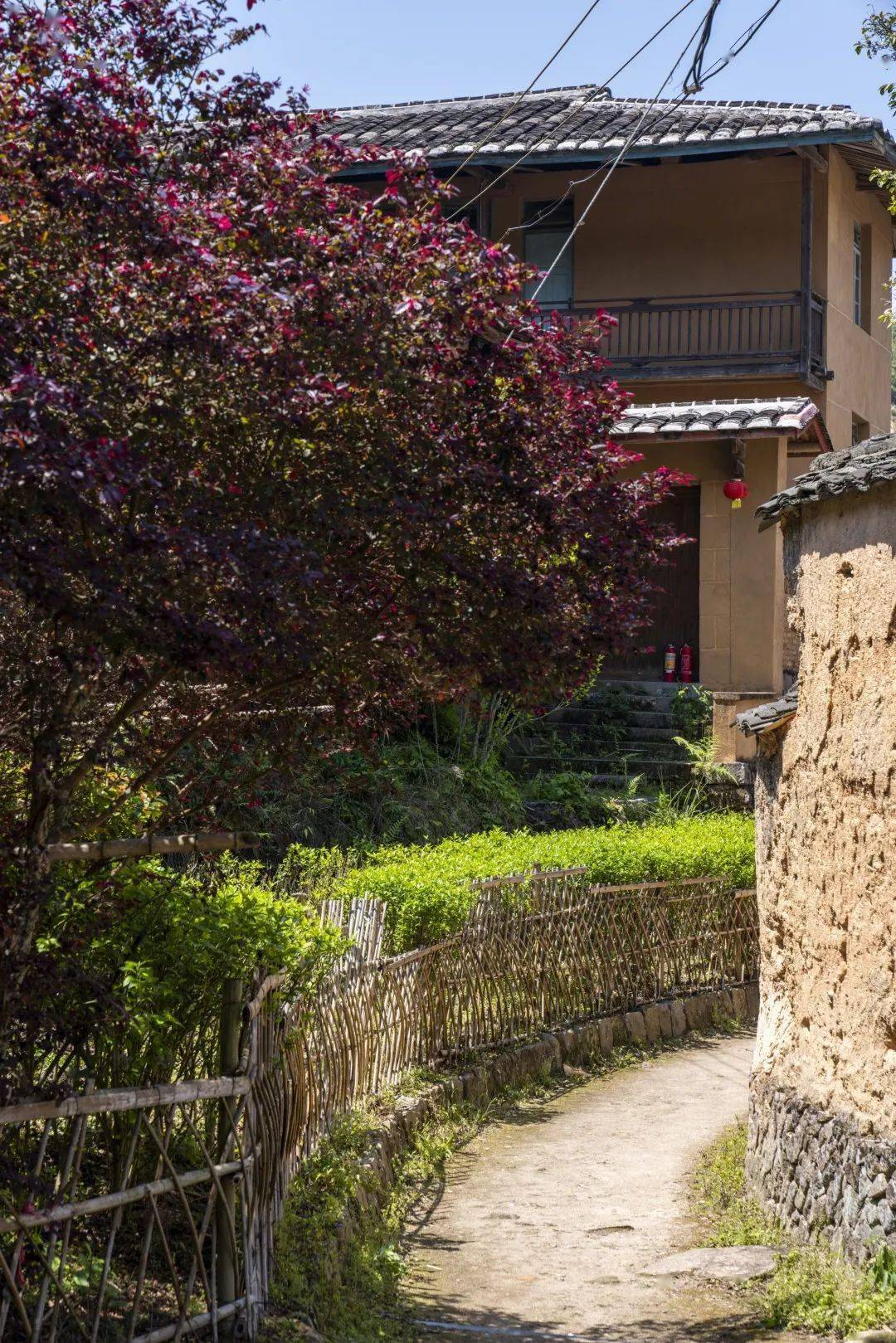 试住招募 | 这位古村的女儿,开了间属于家乡的民宿_桂峰村