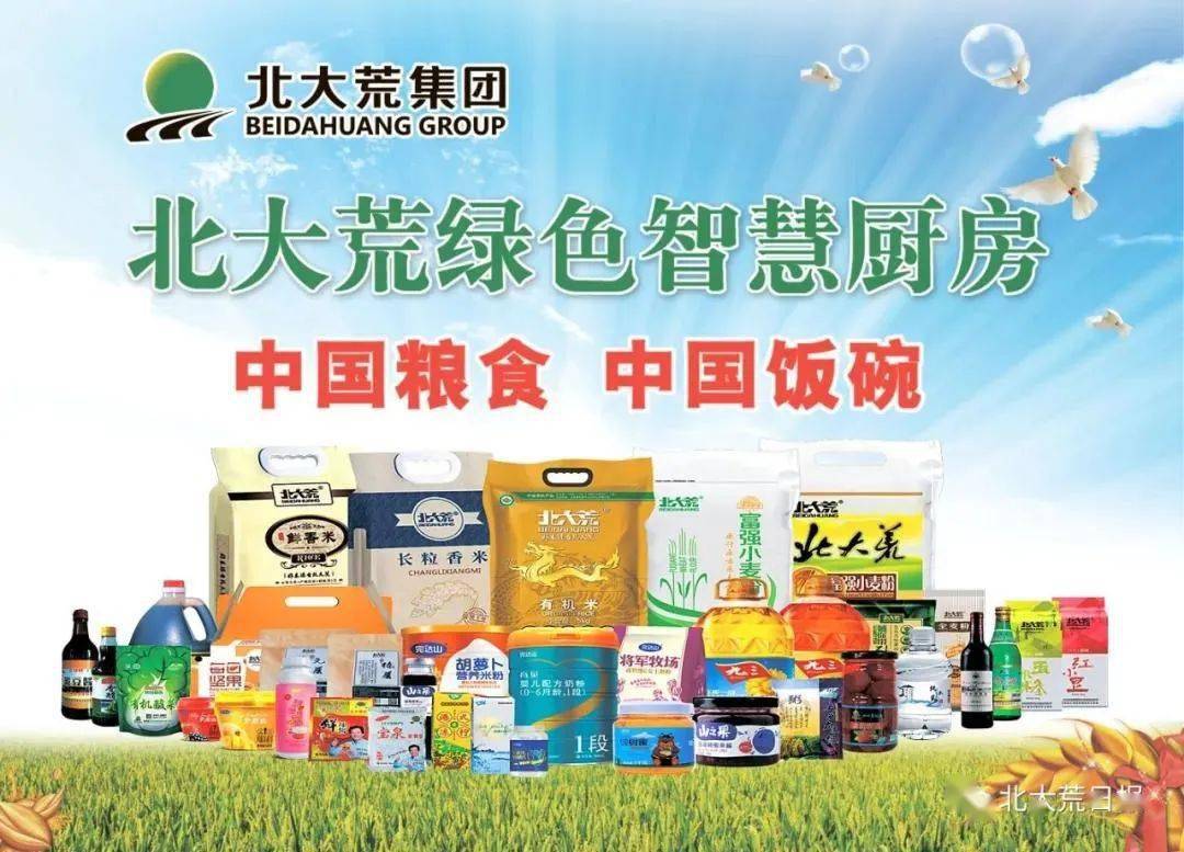 杨宝龙出席北大荒食品集团揭牌仪式并致辞-搜狐大视野-搜狐新闻