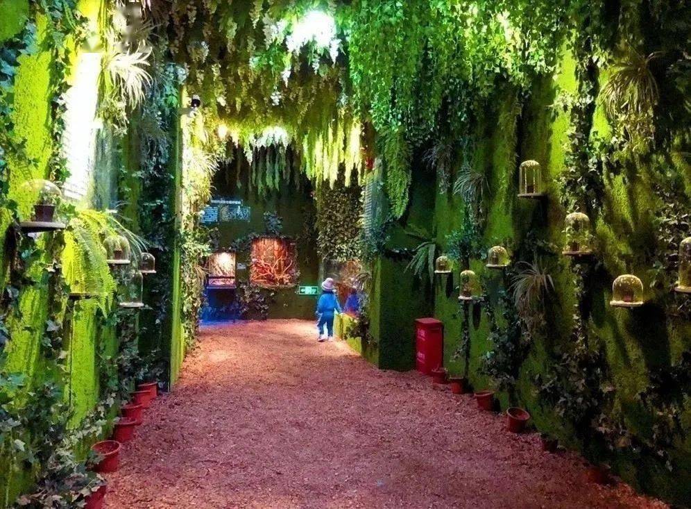 mrzoo小小动物元室内动物园上海5店通用99元抢1大1小亲子门票时下爆火