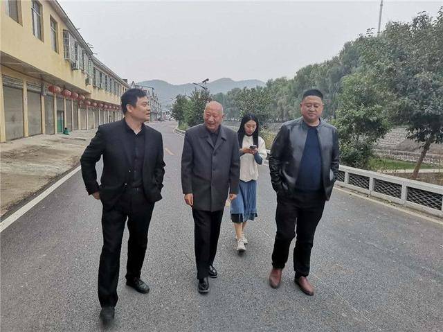 内乡县桃溪镇:"大国良师"回家
