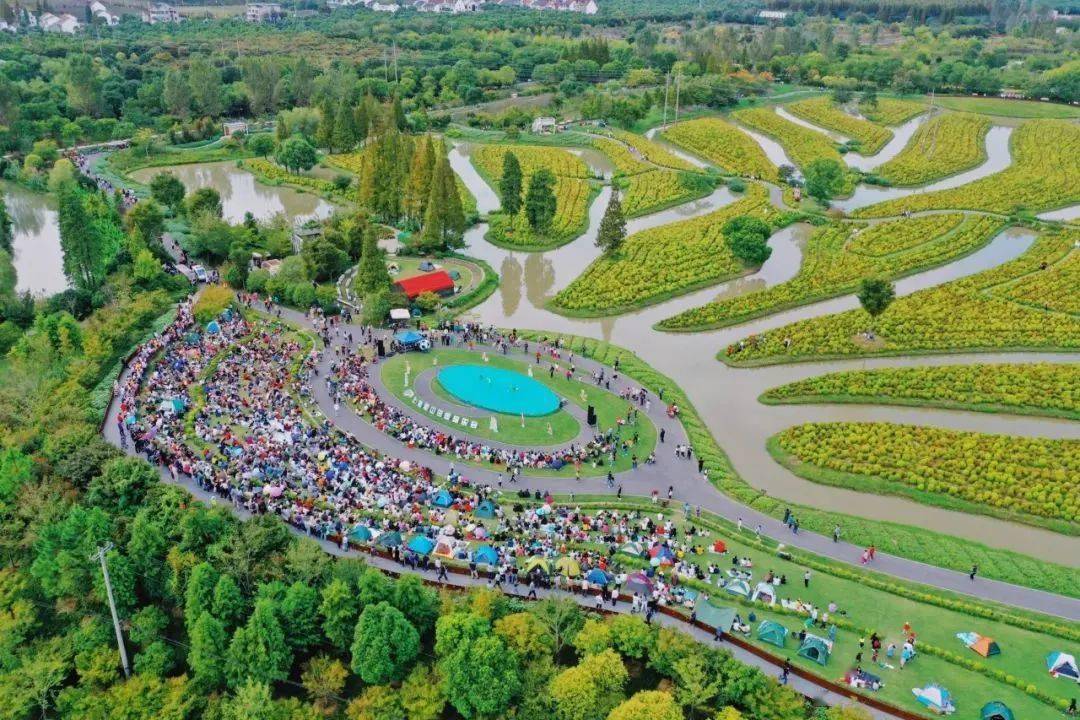 【精彩回眸】音乐 田园的狂欢 2020金山田园音乐会华丽收官!