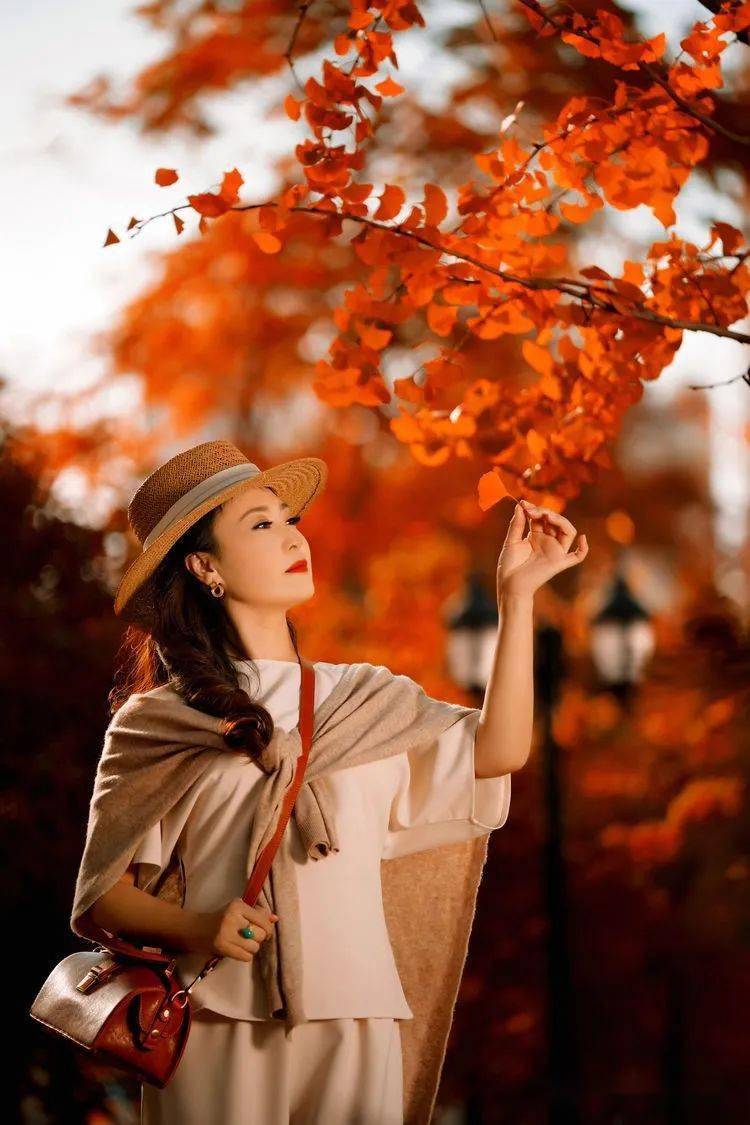 你就像枫叶满山金黄似锦缎深红似霞来那风情万种的色彩怎