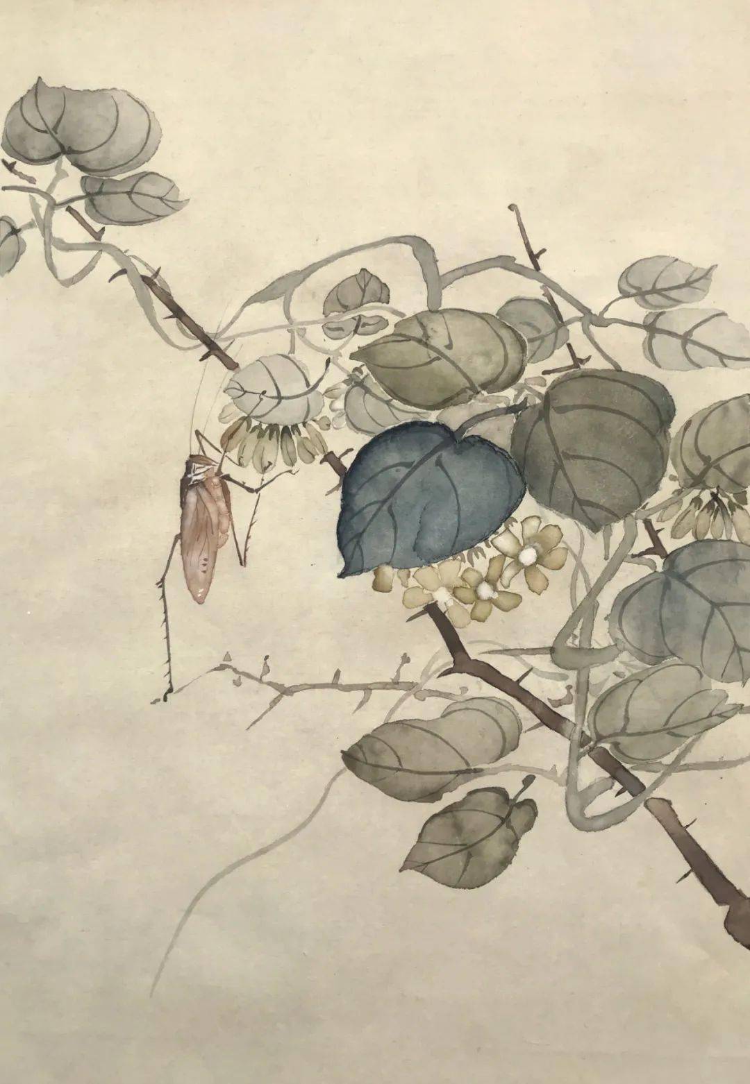 张雪莲第3期没骨梅兰竹菊技法班只需100元