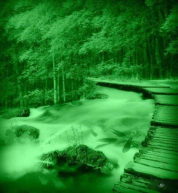 風雨過後修一顆雲水禪心