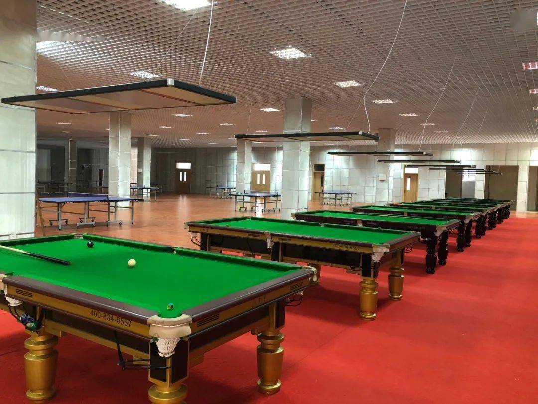 室外操场的足球场地8个台球场还有台球场 室外足球场.
