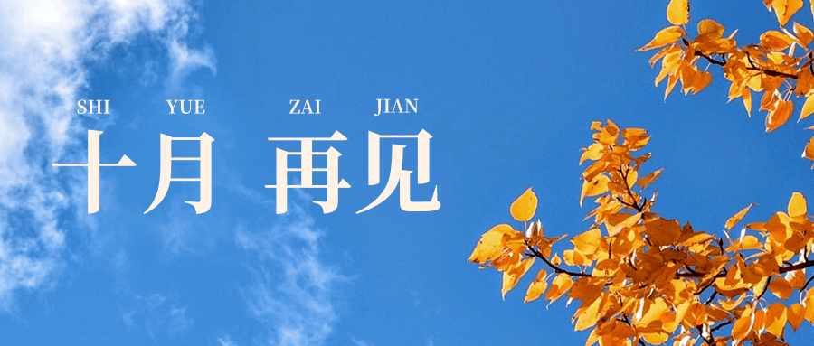 有遗憾,2020年已经过去了300多天,迎来十一月了~就要和金秋十月说再见