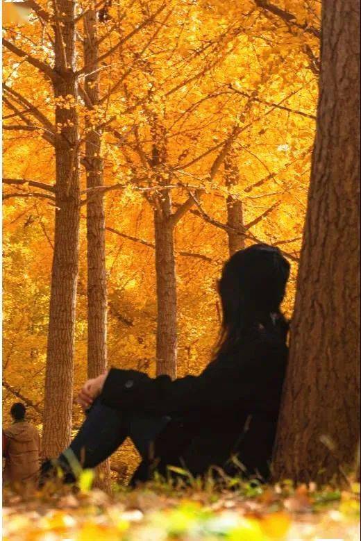 来给镜头比个"耶"经典拍照姿势必不可少rec这么热闹的场面怎能少得了