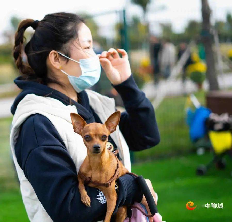 萌寵小鎮當然也是寵物們的遊戲好去處,不少市民帶著自己的愛犬來小鎮