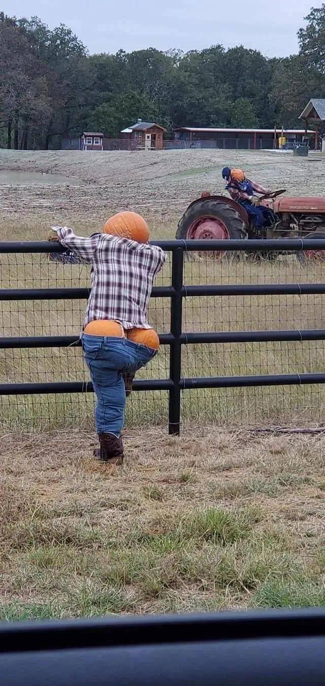 每日囧图九年前我的腿被罗志祥掰开