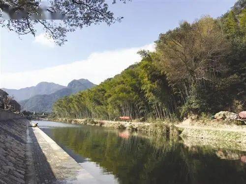 在临海市汛桥镇后山洋,由浙江省临海市引进的,袁隆平院士团队选育的