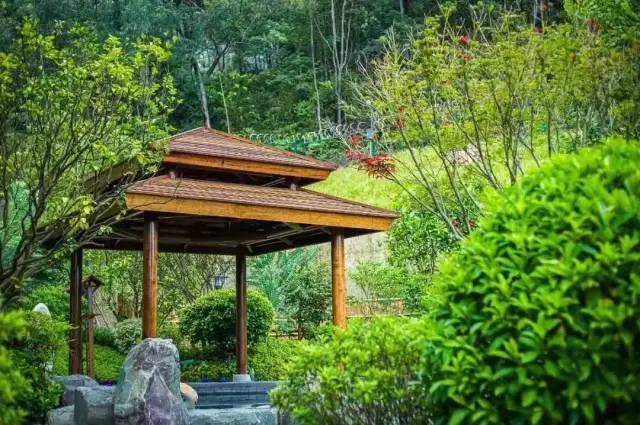 木莲庄酒店体验藏在花都的小东南亚享早餐下午茶晚餐温泉游世外桃源