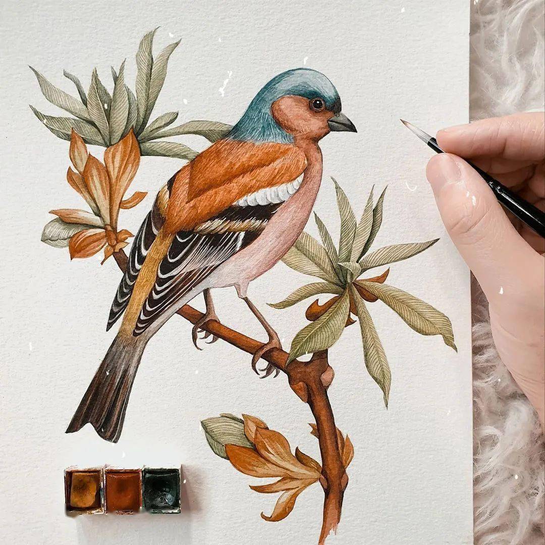 单色调的水彩画,怎么都看不腻!