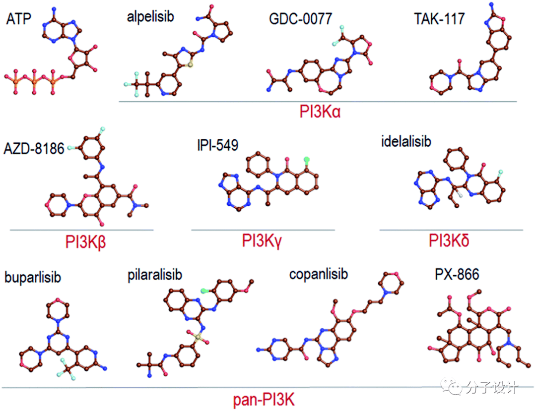 3-kinase,pi3ks)是胞内脂质激酶,可催化肌醇第3位的磷酸化(pip2→pip3