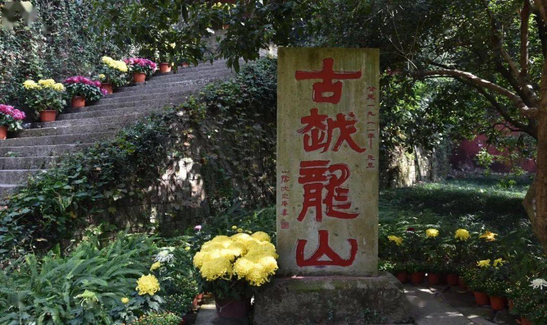 绍兴图说府山越王台菊展