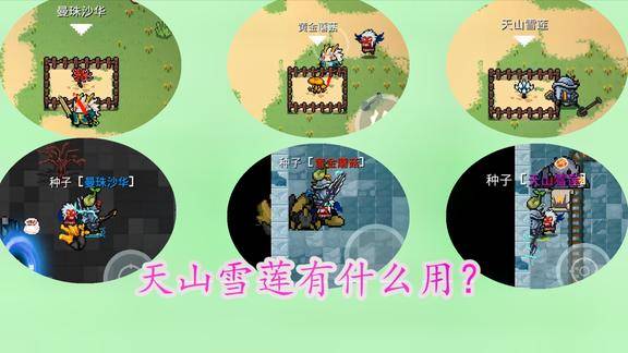 元气骑士天山雪莲有什么用可以被角色喝掉新增植物详解