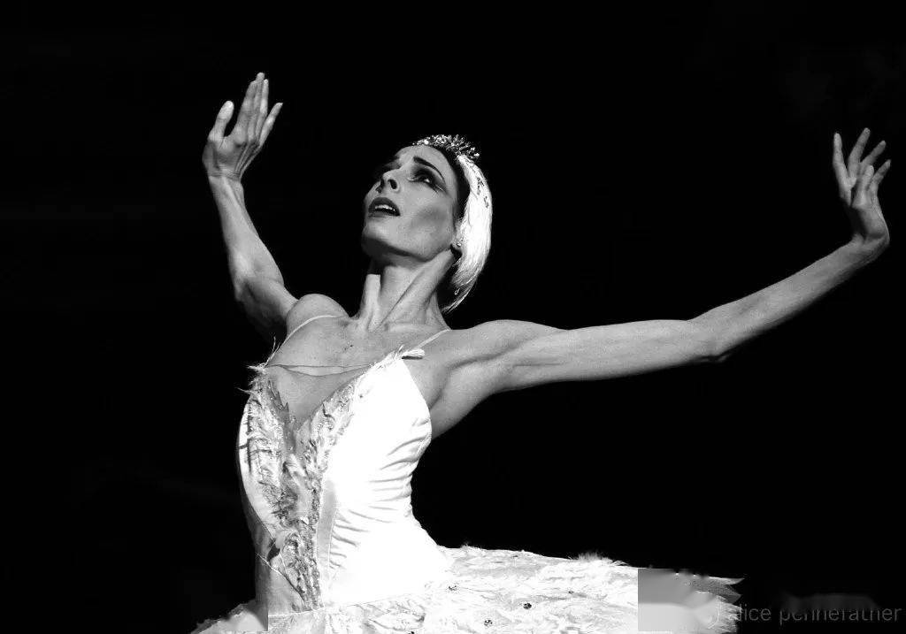 黑白芭蕾美飞了