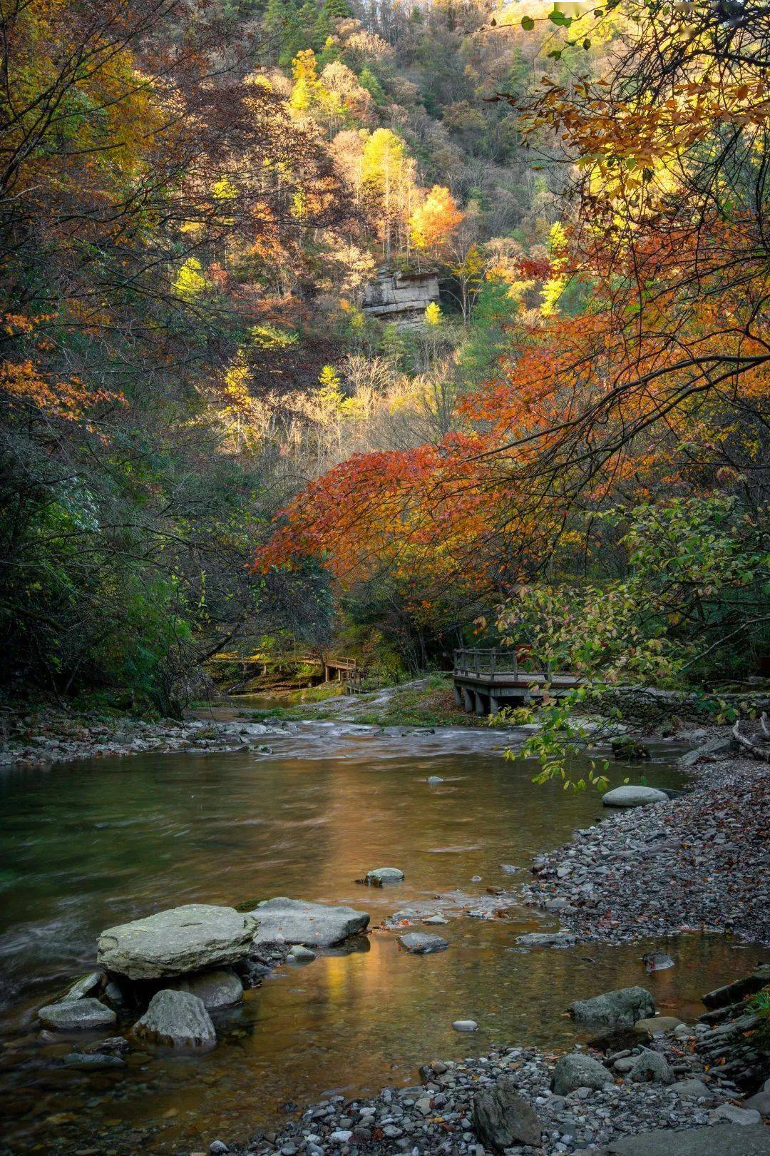 汉中黎坪,峡谷红遍秋意浓