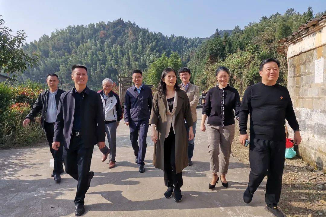 11月3日,县委副书记,县长吴淑琴来到高阜镇莒洲村调研古村旅游及大学