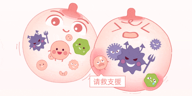 菌群失调会导致乳腺炎我们把菌群放大了1000倍竟然发现了秘密