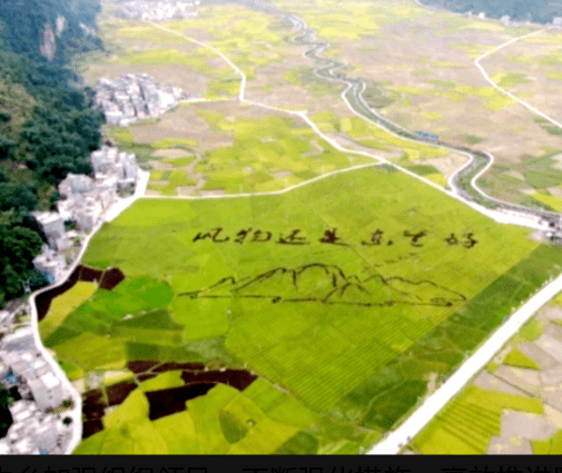 东兰兰木乡:高效推动示范区建设 打造东兰"稻米之乡"_手机搜狐网