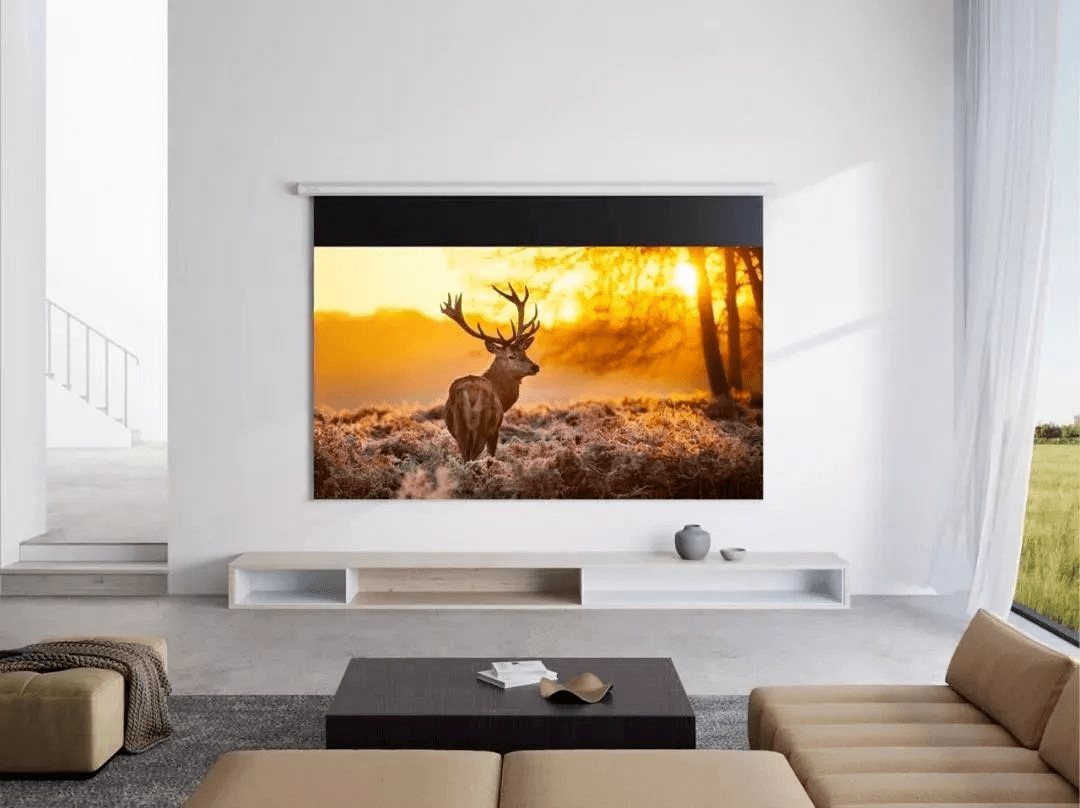 同样是白色为什么不直接用白墙做投影