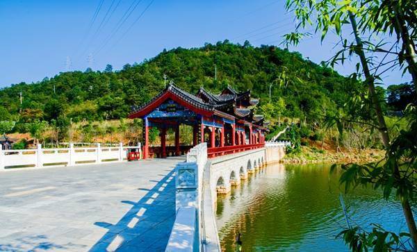 最近这条抖音视频刷爆了桂阳人朋友圈!