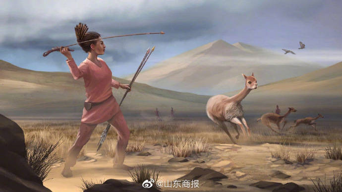 远古时期女性也曾是大型猎物狩猎者,参与度30%