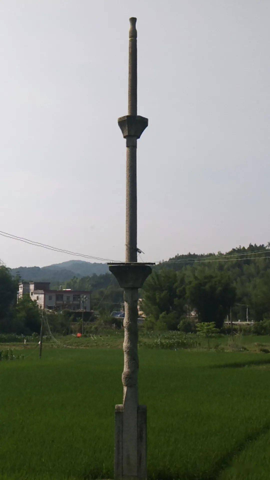 荣耀的象征,据说这种石杆兴宁范围内只在罗浮才有了?_手机搜狐网