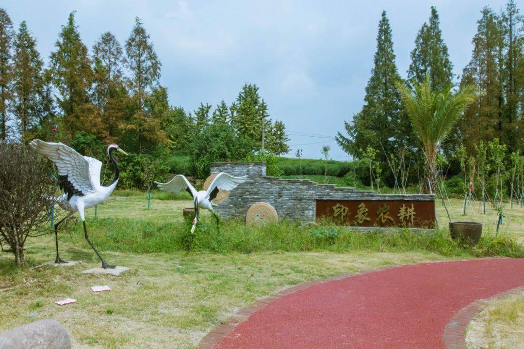 【秋游丹阳】溜娃新去处!来司徒这里,野趣天然!_公园
