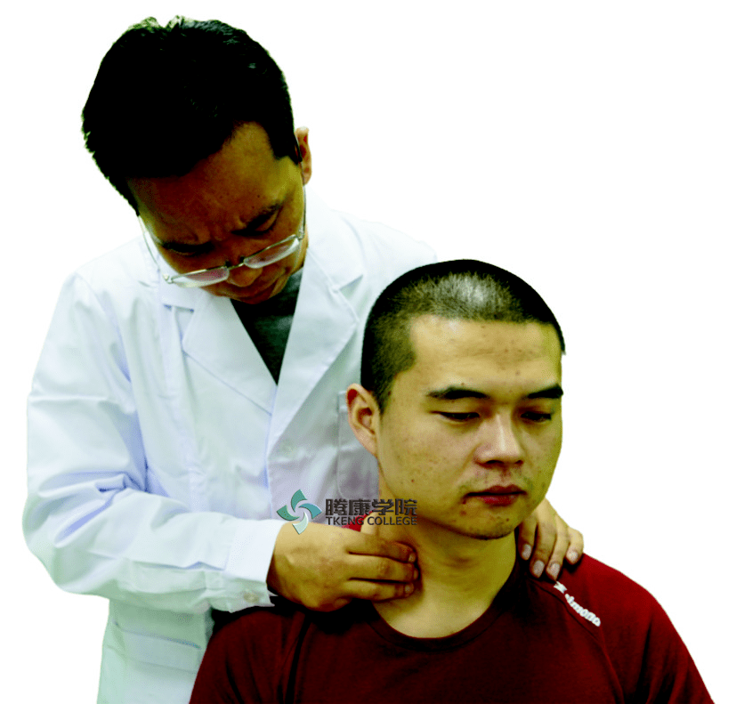 总结臂丛神经根功能评估