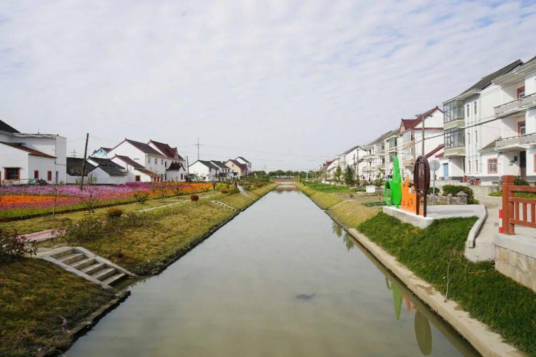 朱泾镇人大组织部分区镇人大代表视察村庄改造及农民相对集中居住项目