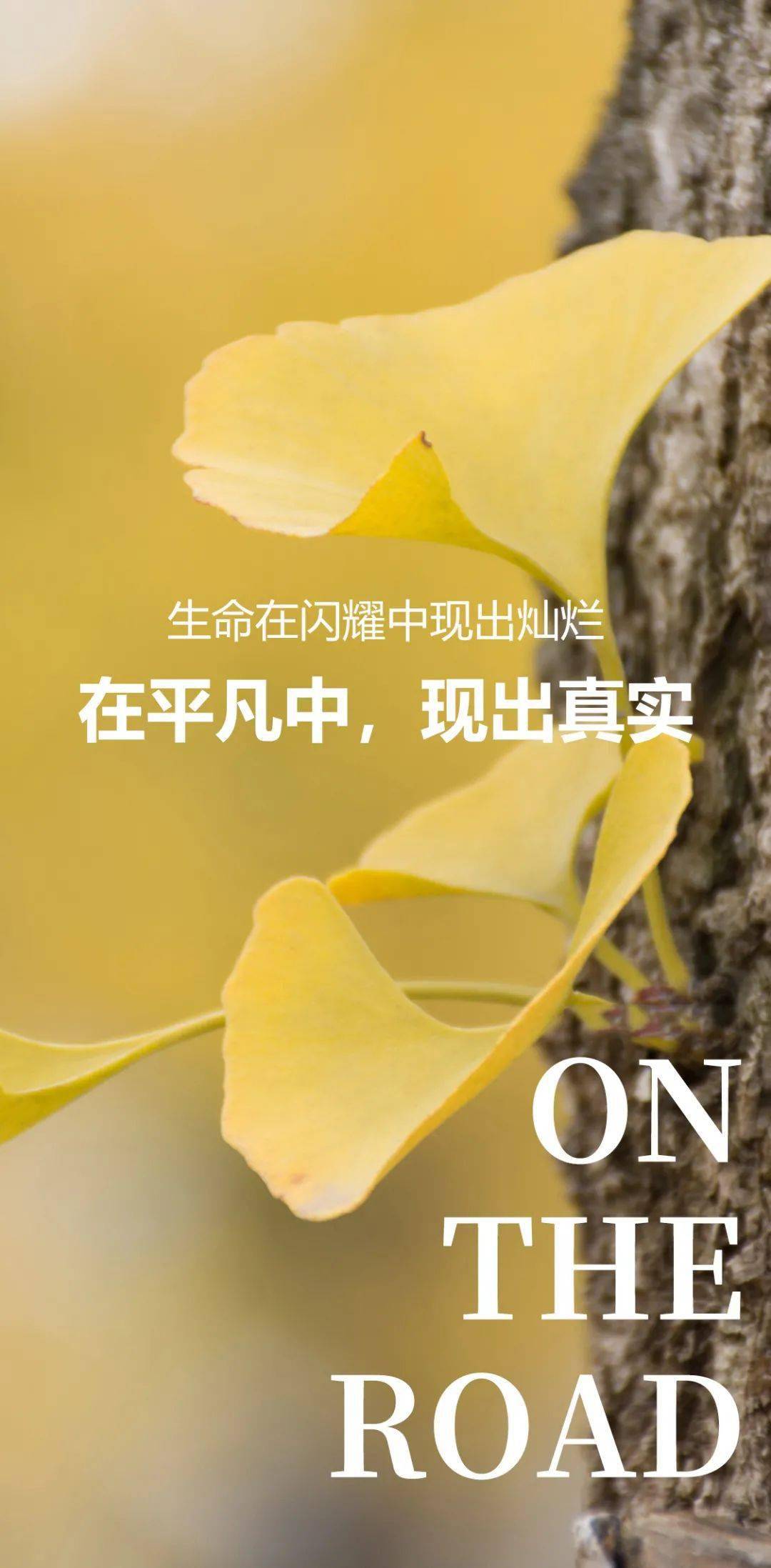 朋友圈金典正能量走心语录合集 正能量满满的精辟说说图片