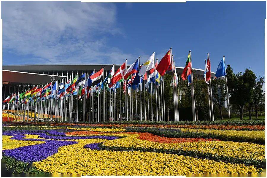 第三届进博会开幕红旗品牌自信亮相