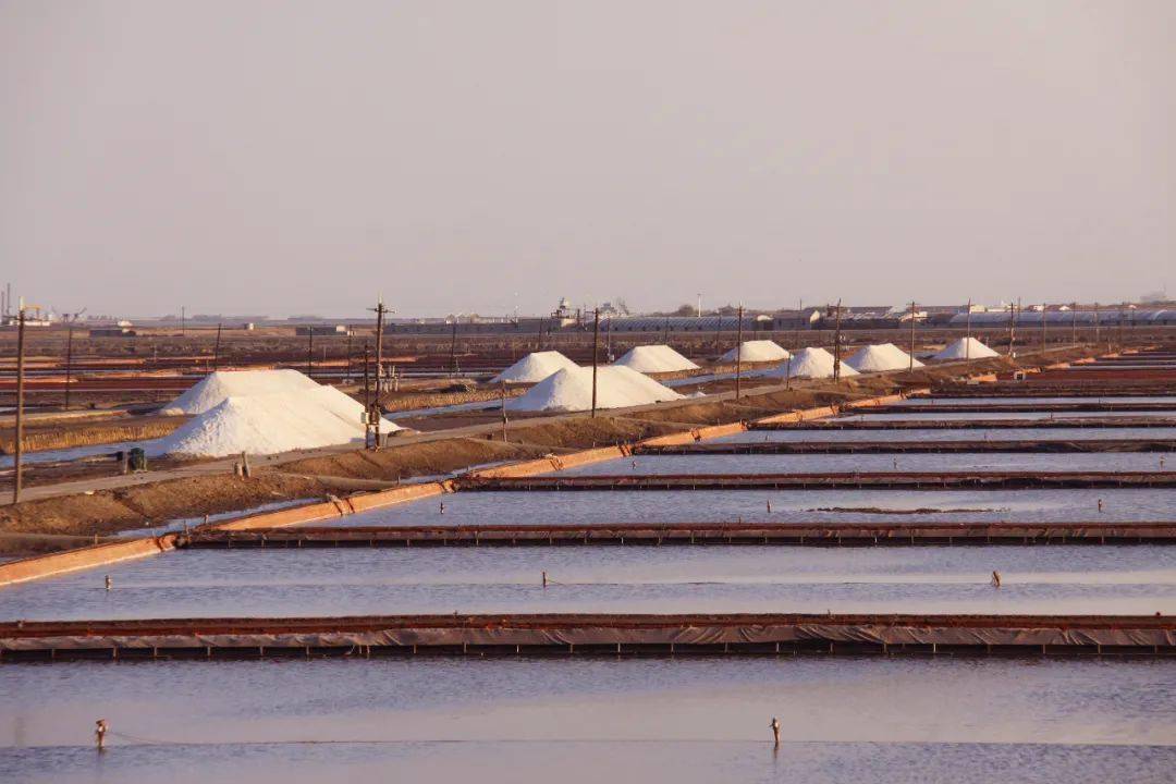 大干四个月决战保全年丨三友盐化多举措加快攻坚步伐