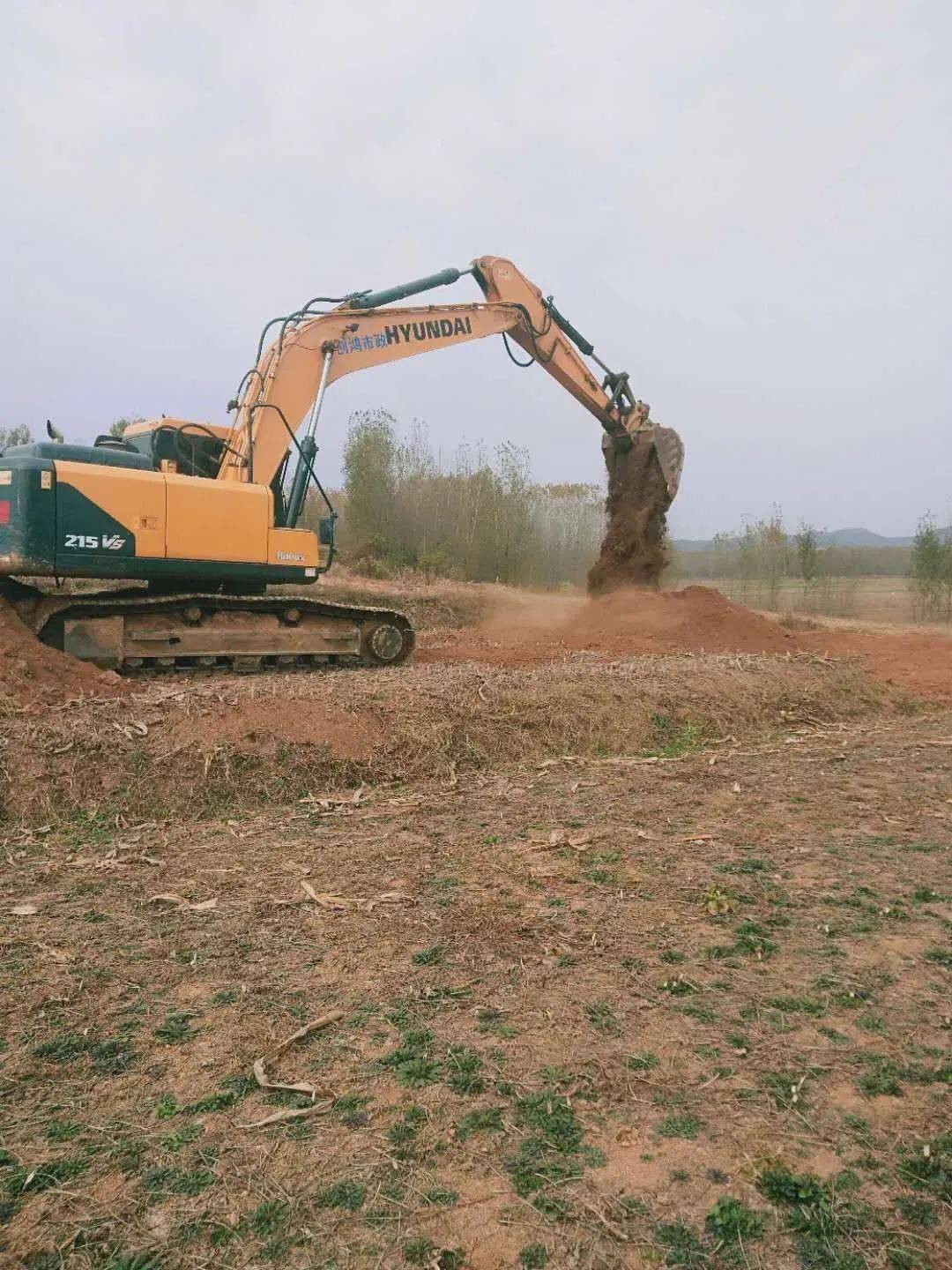 中楼镇全力推进土地整理项目建设