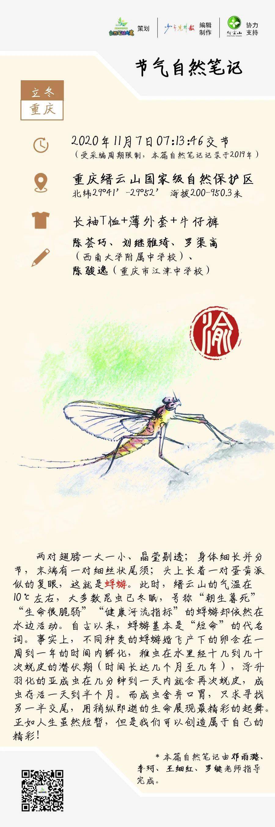 节气立冬自然笔记