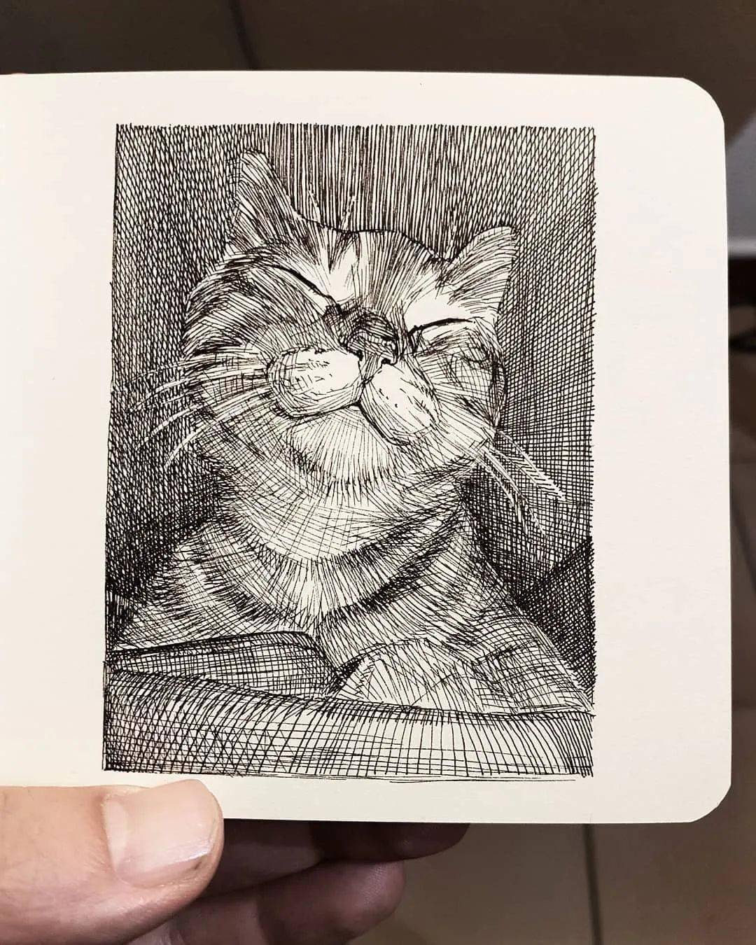 他仅用一只针管笔就能画出如此传神的猫咪不得不佩服