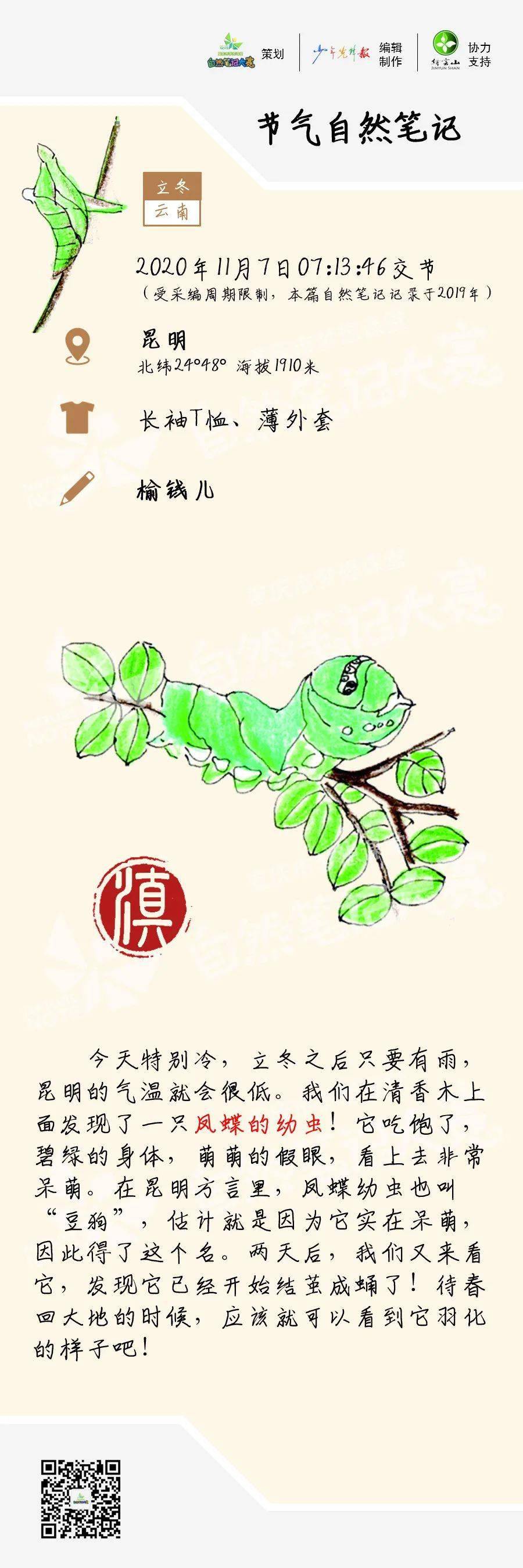 节气立冬自然笔记