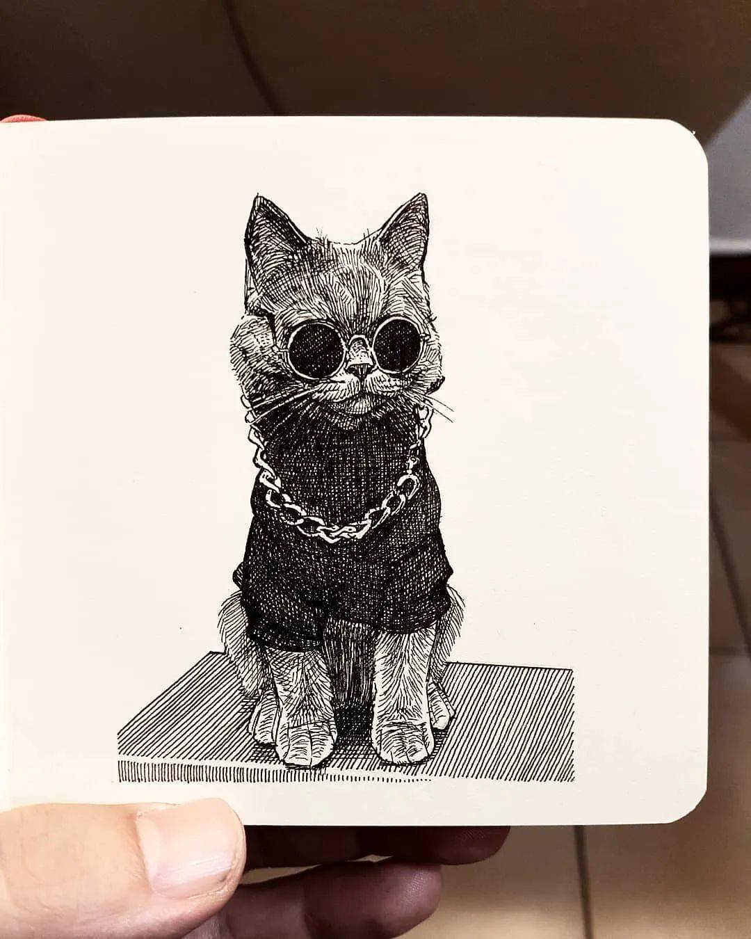 他仅用一只针管笔就能画出如此传神的猫咪不得不佩服