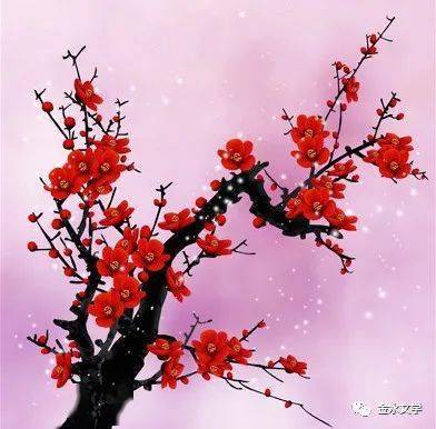 官华|| 时光里的梅花(外一首)