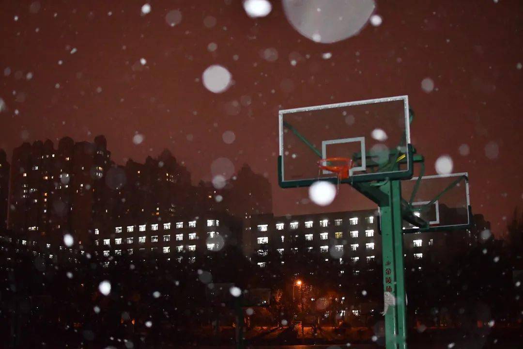 午夜首发 飘雪东林夜,今朝庭散落