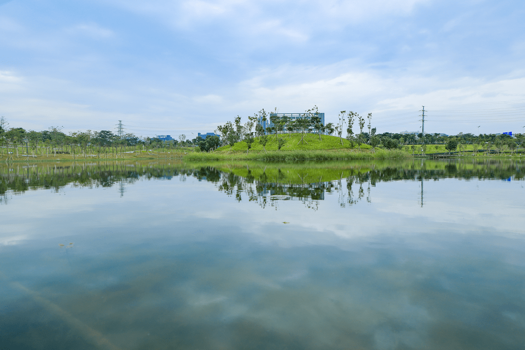 发现光明治水景观东坑水调蓄湖一湾清水栖白鹭