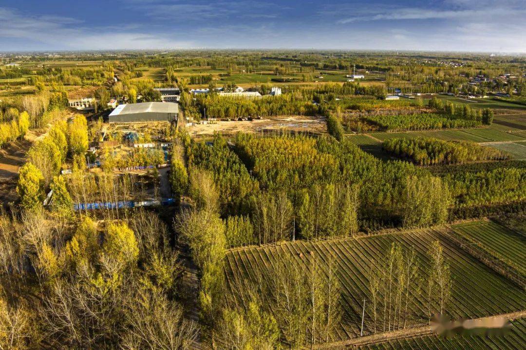 秋色 美豆公_内黄县