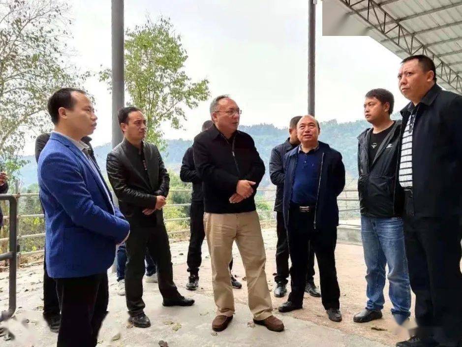 昭通市政府副市长王斌到盐津调研