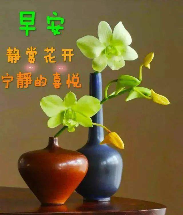 早上好每天祝福語努力的早上好圖片帶字圖片