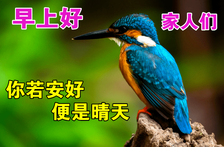 2020早上好漂亮动态美图,早安暖心祝福语录送给你_问候