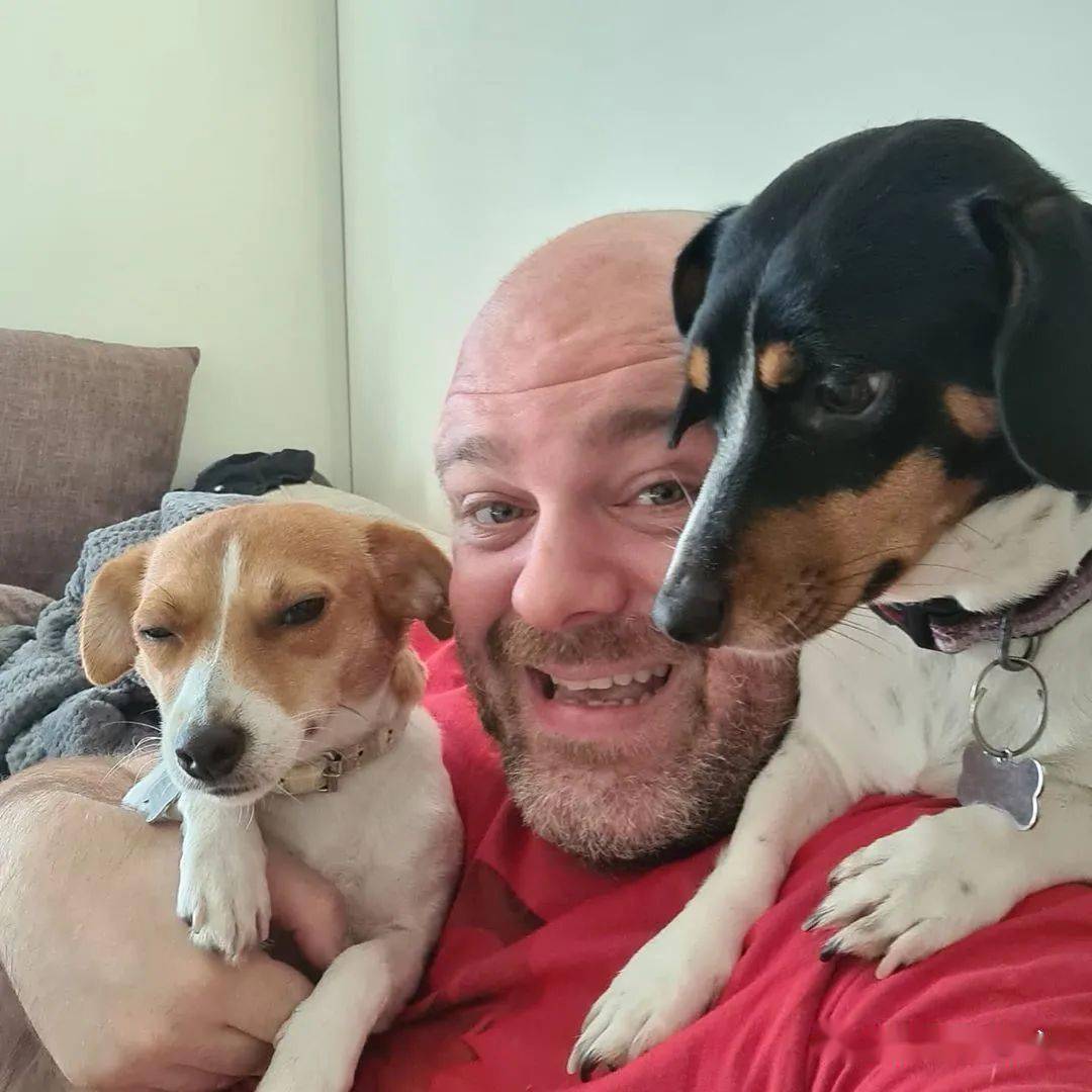 狗狗竟直接骑到主人头上网友却感叹好幸福原来主人是个