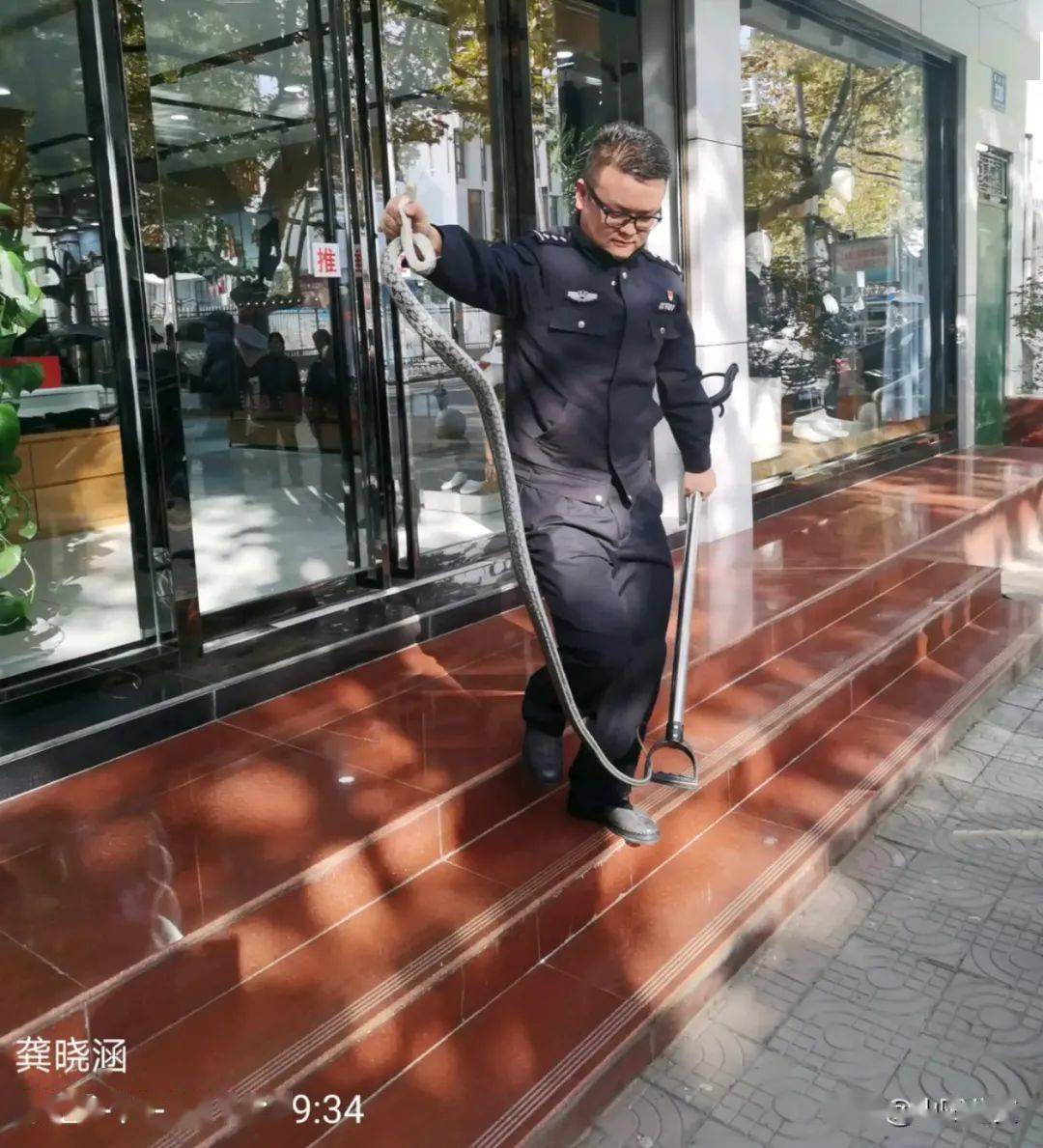 山阳公安民警化身捕蛇者消除安全隐患
