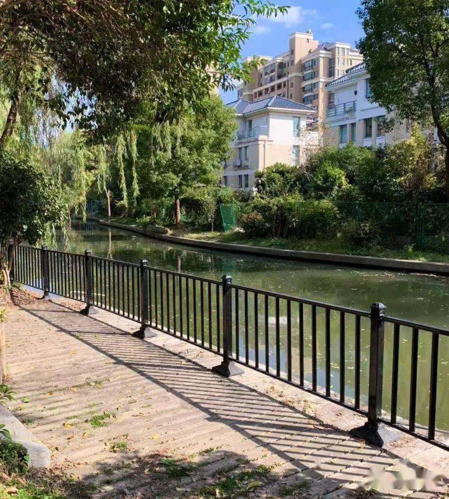 更换老旧栏杆,松江这里的微改造让滨水休闲更安心